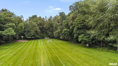 925 W Bennett Ct, Dunlap, IL 61525 photo 46