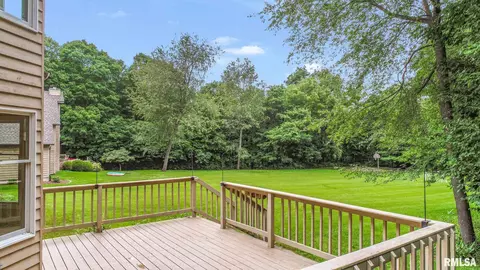 925 W Bennett Ct, Dunlap, IL 61525 photo 43