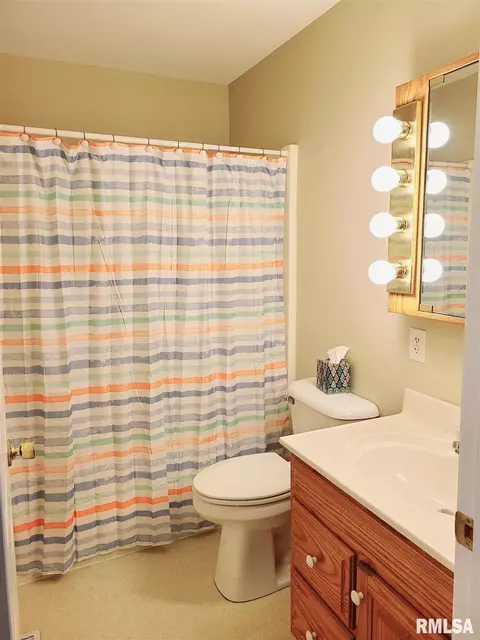 335 Stonegate Dr, Canton, IL 61520 photo 19