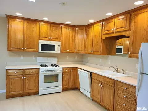 335 Stonegate Dr, Canton, IL 61520 photo 8