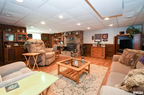 916 E Madison St, Morton, IL 61550 photo 41