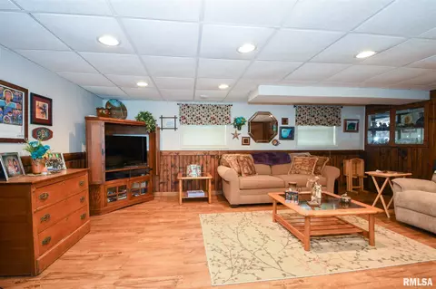 916 E Madison St, Morton, IL 61550 photo 37