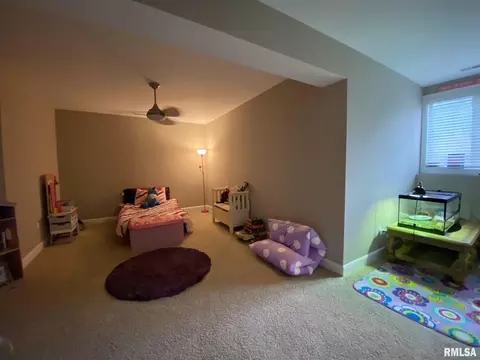 235 Hillview Dr, Macomb, IL 61455 photo 42