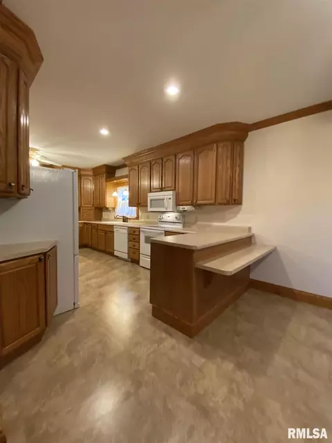 304 E Hickory St, Industry, IL 61440 photo 13