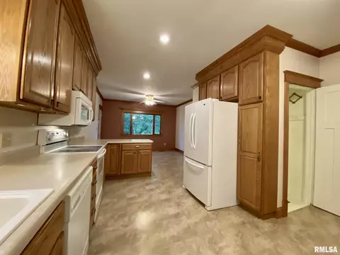 304 E Hickory St, Industry, IL 61440 photo 12