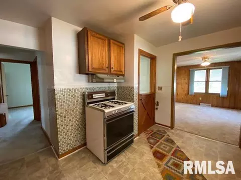 1952 E Chestnut St, Canton, IL 61520 photo 5