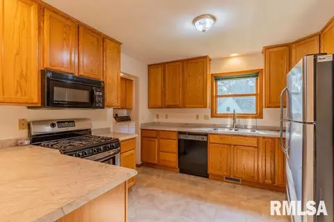 10410 W Sir Tristram Ct, Mapleton, IL 61547 photo 6
