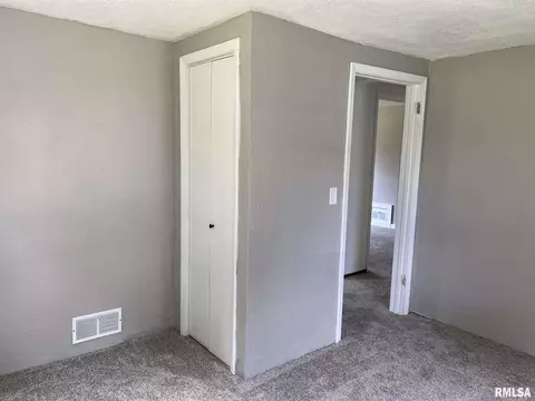 420 E Mechanic St, Ipava, IL 61441 photo 18
