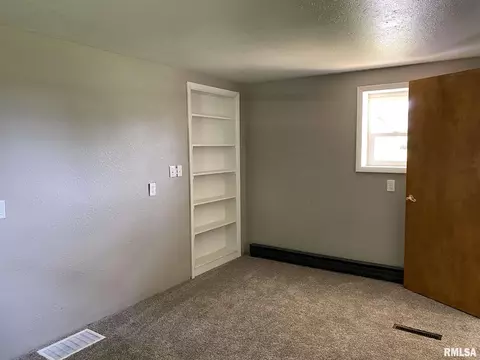 420 E Mechanic St, Ipava, IL 61441 photo 10