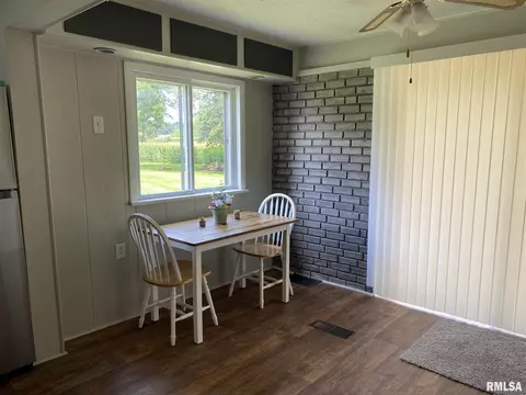 420 E Mechanic St, Ipava, IL 61441 photo 11
