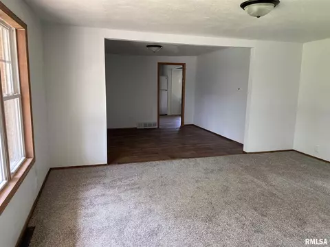420 E Mechanic St, Ipava, IL 61441 photo 8