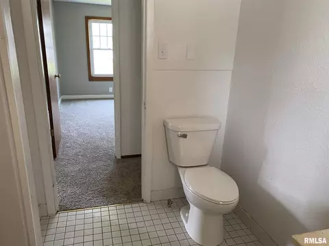 420 E Mechanic St, Ipava, IL 61441 photo 20