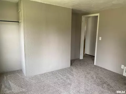 420 E Mechanic St, Ipava, IL 61441 photo 16