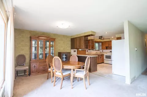 708 W Davison St, Roanoke, IL 61561 photo 9