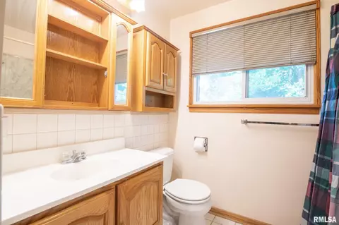 708 W Davison St, Roanoke, IL 61561 photo 28