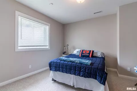 708 S Sara Ct, Dunlap, IL 61525 photo 39
