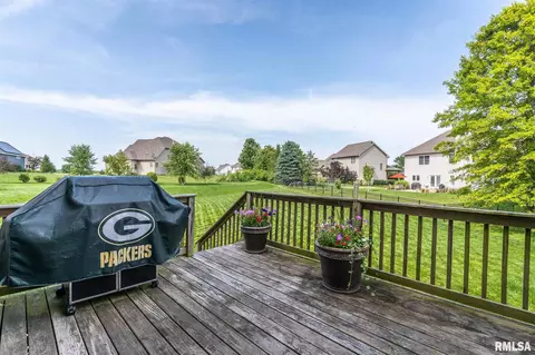 708 S Sara Ct, Dunlap, IL 61525 photo 40