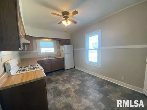 541 E Chestnut St, Canton, IL 61520 photo 6