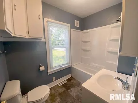 541 E Chestnut St, Canton, IL 61520 photo 21