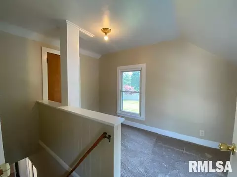 541 E Chestnut St, Canton, IL 61520 photo 26