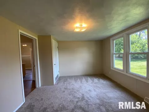 541 E Chestnut St, Canton, IL 61520 photo 14