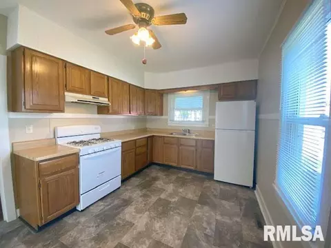 541 E Chestnut St, Canton, IL 61520 photo 7