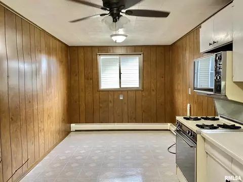304 N Central Ave, Saint David, IL 61563 photo 15