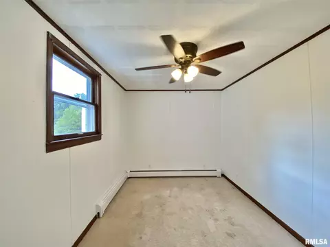 304 N Central Ave, Saint David, IL 61563 photo 23