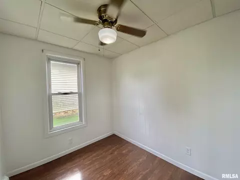 304 N Central Ave, Saint David, IL 61563 photo 20