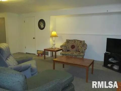 1106 Impala Dr, Henry, IL 61537 photo 24
