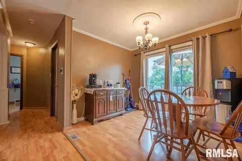 215 W Bertram St, Metamora, IL 61548 photo 14