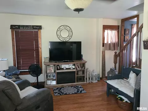394 W Maple St, Canton, IL 61520 photo 13