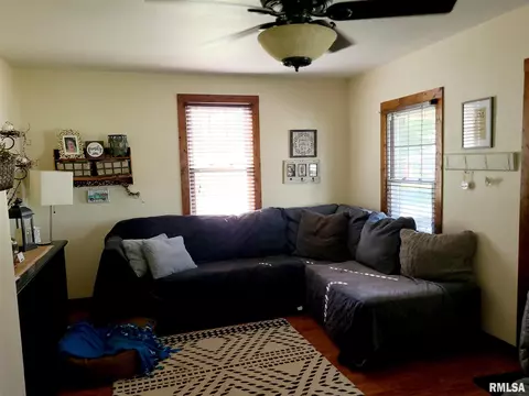 394 W Maple St, Canton, IL 61520 photo 11