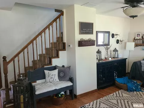 394 W Maple St, Canton, IL 61520 photo 12