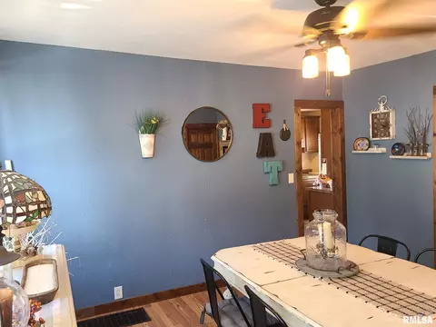394 W Maple St, Canton, IL 61520 photo 16