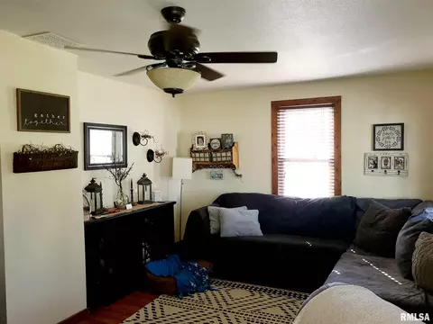 394 W Maple St, Canton, IL 61520 photo 10