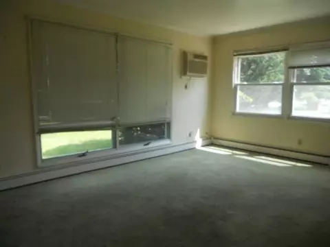 100 Circle Dr, Avon, IL 61415 photo 3