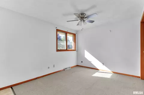 308 E 1st St, Delavan, IL 61734 photo 26