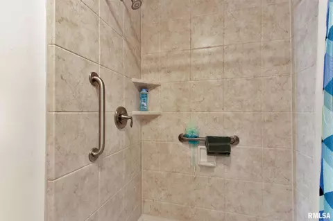 308 E 1st St, Delavan, IL 61734 photo 19