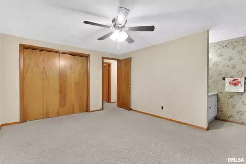 308 E 1st St, Delavan, IL 61734 photo 21