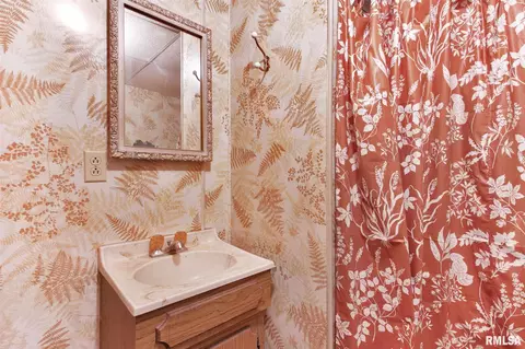 308 E 1st St, Delavan, IL 61734 photo 30
