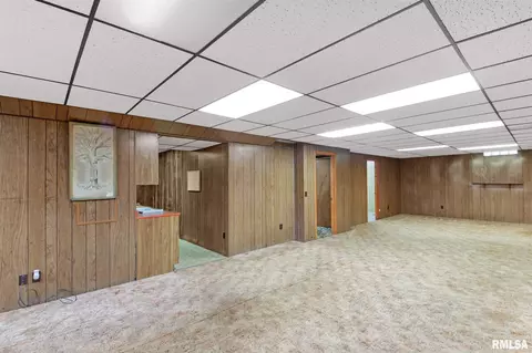 308 E 1st St, Delavan, IL 61734 photo 32