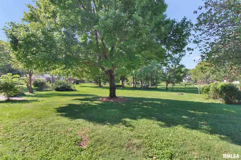 308 E 1st St, Delavan, IL 61734 photo 39