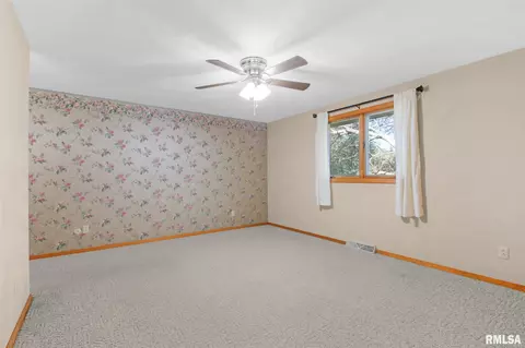 308 E 1st St, Delavan, IL 61734 photo 18