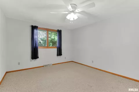 308 E 1st St, Delavan, IL 61734 photo 24