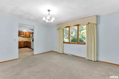 308 E 1st St, Delavan, IL 61734 photo 12