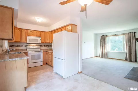 10305 W Timber Rd, Mapleton, IL 61547 photo 5