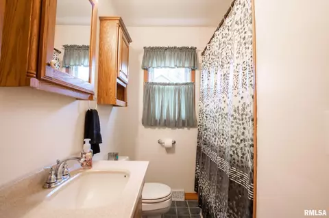 1004 S Oak St, Delavan, IL 61734 photo 22
