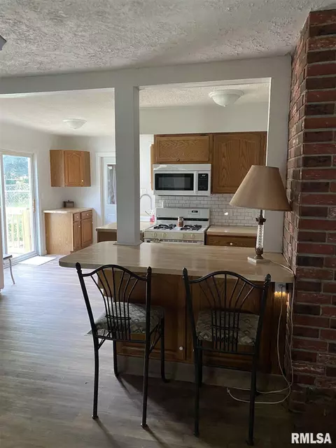 207 9th St, Lacon, IL 61540 photo 3
