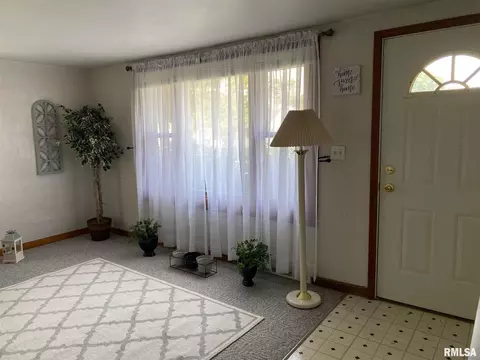 316 Edgewood St, Morton, IL 61550 photo 25